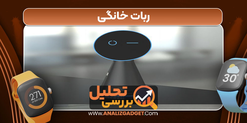ربات خانگی